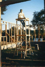 Aviary Construction